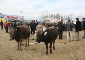Kurban alırken, kurban olmayın